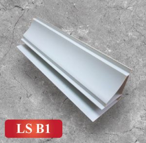 LS-B1